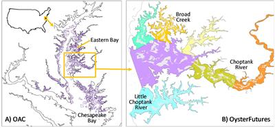 Two applications of the Consensus Solutions process with collaborative modeling for management of a contentious oyster fishery